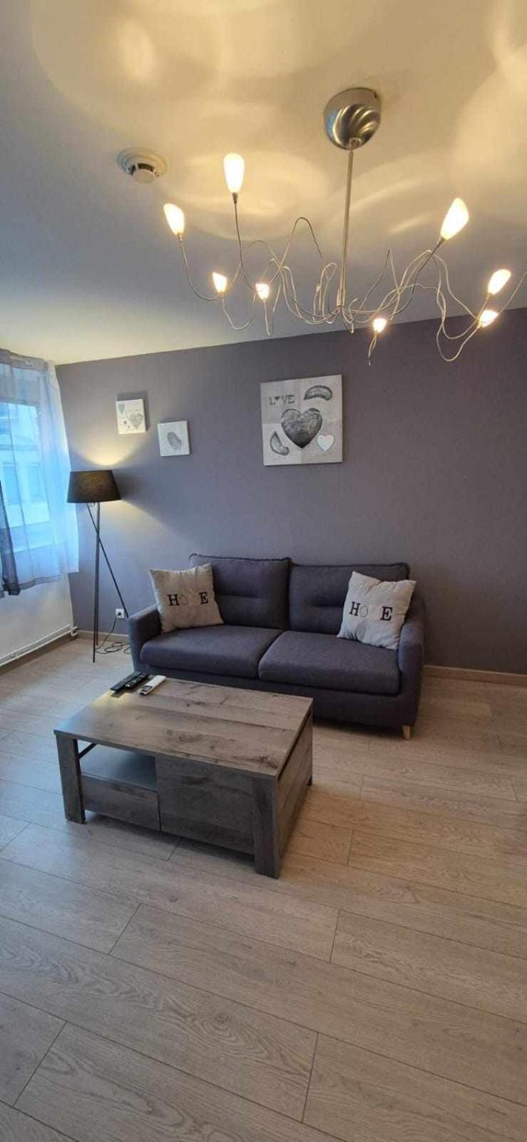 Superbe appartement avec parking gratuit sur place Nancy Extérieur photo